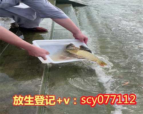 青岛公园放生鱼，青岛胶州慈云讲寺举行开光五周年暨第五届水陆法会第五日：