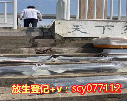 海口哪里可以放生鲤鱼，海口的救狗工作