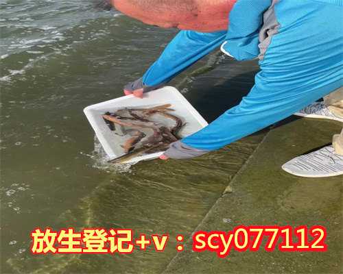 放生地点选择，人生三分是选择七分靠放下