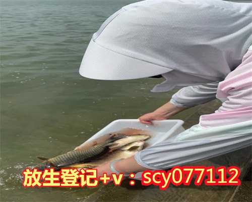 南京放生飞禽在哪里，南京琵琶湖现众多死河蚌疑为不当放生