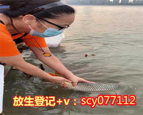 上海哪儿可以放生鱼，上海东海观音寺将于7月19日起恢复开放