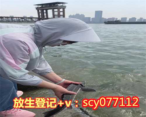 青岛哪儿有放生池啊，青岛一家小企业为何能吸引社会各界纷纷前去讨教