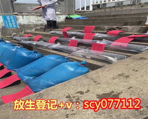 深水中可放生黄鳝吗为什么，鳝鱼放生时需要注意些什么