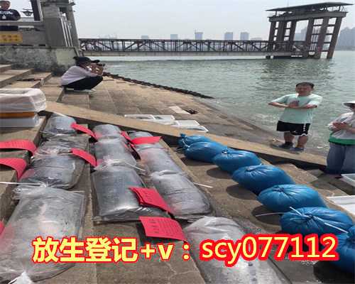 河南放生草龟在哪里，河南傻根的故事