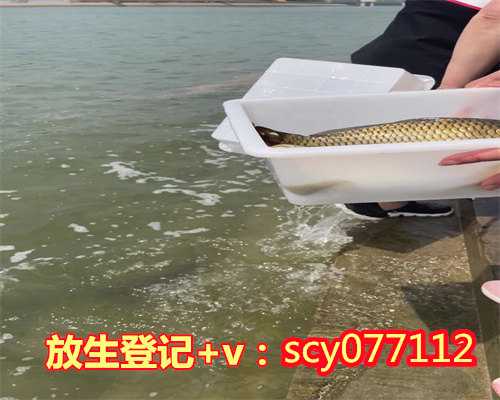 草龟放生到哪里最合适养，放生到底该去哪里？