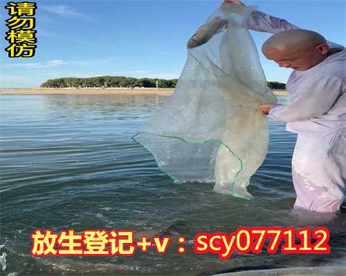 合肥哪里放生乌龟最多，大湖墨韵五教同光：第三届合肥宗教界迎春书画展开幕