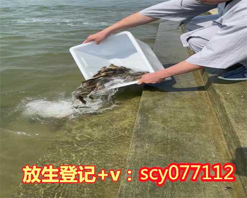 西丽湖哪里适合放生鱼，市民频到日照银河公园放生园方提醒：这里不合适