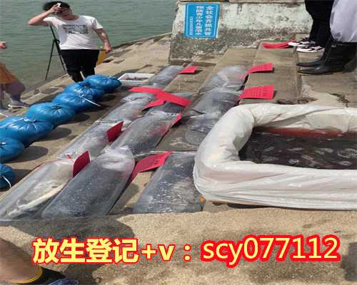 大连何地可以放生田螺，大连明泽湖放生故事（终结）