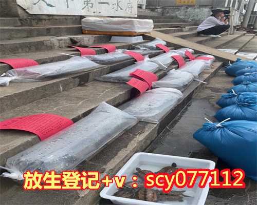 堕胎放生回向文大全，净土法门法师：请问堕胎后诵《地藏经》，应如何回向