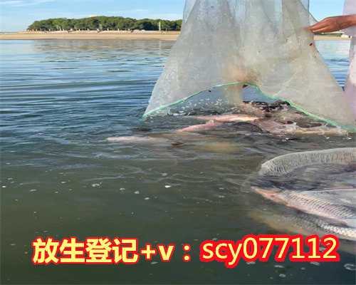 9月份放生吉日，阳历8月份生日的幸运石是什么？