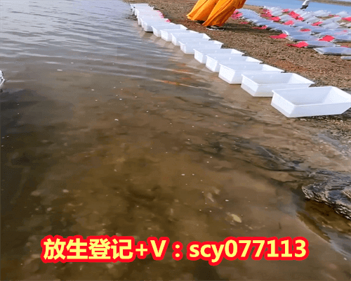 2023年阳历三月份放生选哪几个日子，2023年各月份五行属性